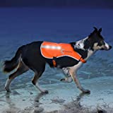 Illumiseen LED Dog Vest | Orange Safety Jacket with Reflective Strips & USB Rechargeable LED Lights | Increase Dog’s Visibility When Walking, Running, Training Outdoors (X-Large, Orange)