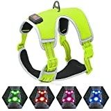 YFbrite Light up Dog Harness- USB Rechargeable LED Dog Harness, Reflective Dog Harness, Dog Lights for Harness, Comfortable Adjustable Dog Harness with Different Sizes (Green, Small)