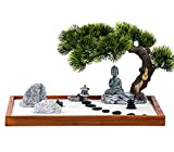 Zen Garden Kit Jardin Zen Garden for Desk Zen Garden Accessories Mini Zen Garden Buddha Shape 14 x 10 inch