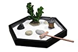 Nature's Mark Mini Zen Garden Kit for Desk with Rake, White Sand, Miniature Pagoda Figure, Black Hexagon Base, River Rocks, Miniature Succulent
