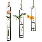 Sziqiqi Glass Propagation Station Test Tube Vases Clear Glass for Cuttings, Buds, Greenery Hydroponic Plant Propagation Home Balcony Bath Wall Decoration Floral Container Set of 3 Black
