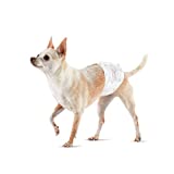 Amazon Basics Male Dog Wrap, Disposable Diapers, X-Small - Pack of 30