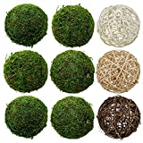 Natural Green Moss Decorative Ball and Assorted Rattan Wicker Balls 3.5' Set of 9, Hanging Balls with Handmade, Hanging Balls Vase Bowl Filler, Christmas Tree Garden Weddings Home Party Decor