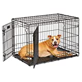 Life Stages LS-1636DD Double Door 36 Inch Folding Crate with Divider for Intermediate Dogs (41 - 70Lbs)