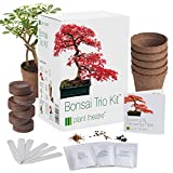Plant Theatre Bonsai Tree Kit - Outdoor or Indoor Garden Kit w/ Pots, Peat Discs, Planting Markers and 3 Seed Types - Gardening Gifts for Women and Men