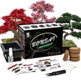 Bonsai Tree Kit, 5 Bonsai Tree Seeds with Complete Plant Growing Tools, Grow in Pot Indoor Live Plant Bonsai Tree Starter Kit, Great Home Gardening Potted Plants DIY Gift for Adults