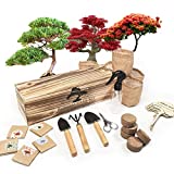 Bonsai Tree Kit - Bonsai Tree Starter Kit with 5 Seeds Types - Unique Indoor Gardening Gift Ideas for Garden Lovers or Gardener Mom - Wooden Gift Box Packaging