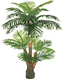 AMERIQUE Gorgeous & Unique 5 Feet Tropical Palm Artificial Plant Silk Tree, Real Touch Technology, with UV Protection, Super Quality, 5', Green