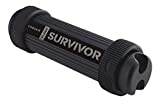 Flash Survivor Stealth 1TB USB 3.0 Flash Drive