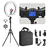 Ring Light, Pixel 19' Bi-Color LCD Display Ring Light with Stand, 55W 3000-5800K CRI≥97 Light Ring for Vlogging Selfie-Portrait Live Stream Video Photography Shooting