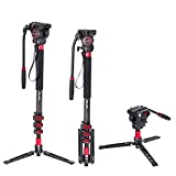 Avella CD324 Carbon Fiber Video Monopod Kit, with Fluid Head and Removable feet, 71 Inch Max Load 13.2 LB for Canon Nikon Sony Olympus Panasonic DSLR Camera