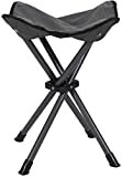 STANSPORT - Deluxe 4 Leg Camping Stool, Compact Lightweight Portable Stool for Outdoor Use