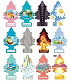 Little Trees Home and Car Air Fresheners 12 Pack Vacation Pack Ultra Rare Scents