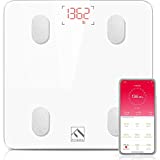 FITINDEX Bluetooth Body Fat Scale, Smart Wireless BMI Bathroom Weight Scale Body Composition Monitor Health Analyzer with Smartphone App for Body Weight, Fat, Water, BMI, BMR, Muscle Mass - White