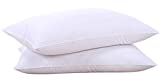 Goose Feathers and Down White Pillow Inserts, Bed Sleeping Hotel Collection Pillows Set of 2 Standard Size