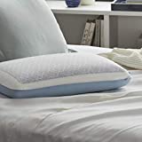 Sealy DuoChill Cooling Memory Foam Pillow, Standard (Pack of 1), White