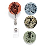 Buttonsmith Anatomy Tinker Reel Retractable Badge Reel - with Alligator Clip and Extra-Long 36 inch Standard Duty Cord - Made in The USA